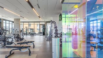 a gym with weights and other exercise equipment
