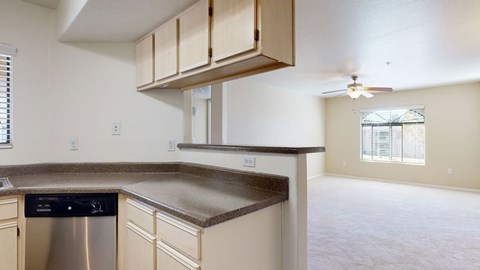 A kitchen with a dishwasher and a fan.