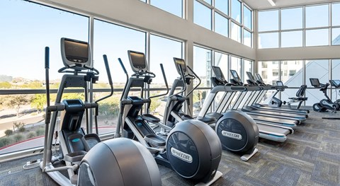A sunlit fitness center here at Skywater at Tempe Town Lake featuring a row of modern cardio machines including ellipticals and treadmills, positioned along expansive floor-to-ceiling windows that overlook landscaped surroundings, with high ceilings, neutral flooring, and an open layout designed for an energizing workout experience.