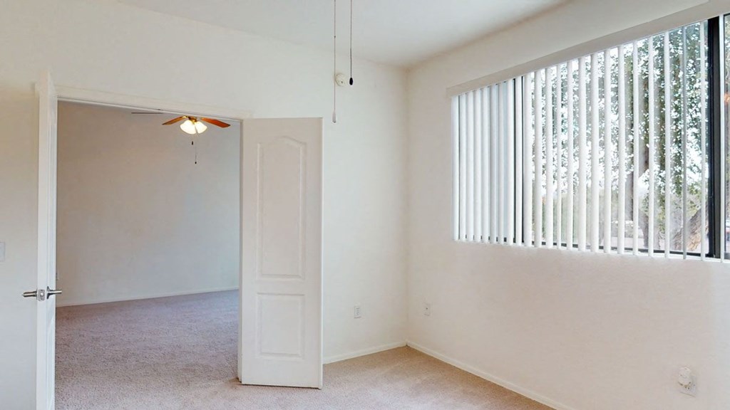 Acclaim Apartments- large bedroom with great natural lighting 