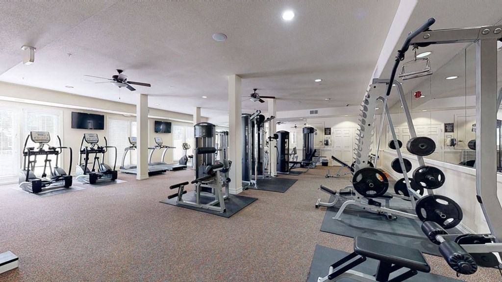 A spacious gym here at Bela Rosa Apartments with various exercise machines, including treadmills, weight racks, and strength equipment. Bright, well-lit, modern ambiance.