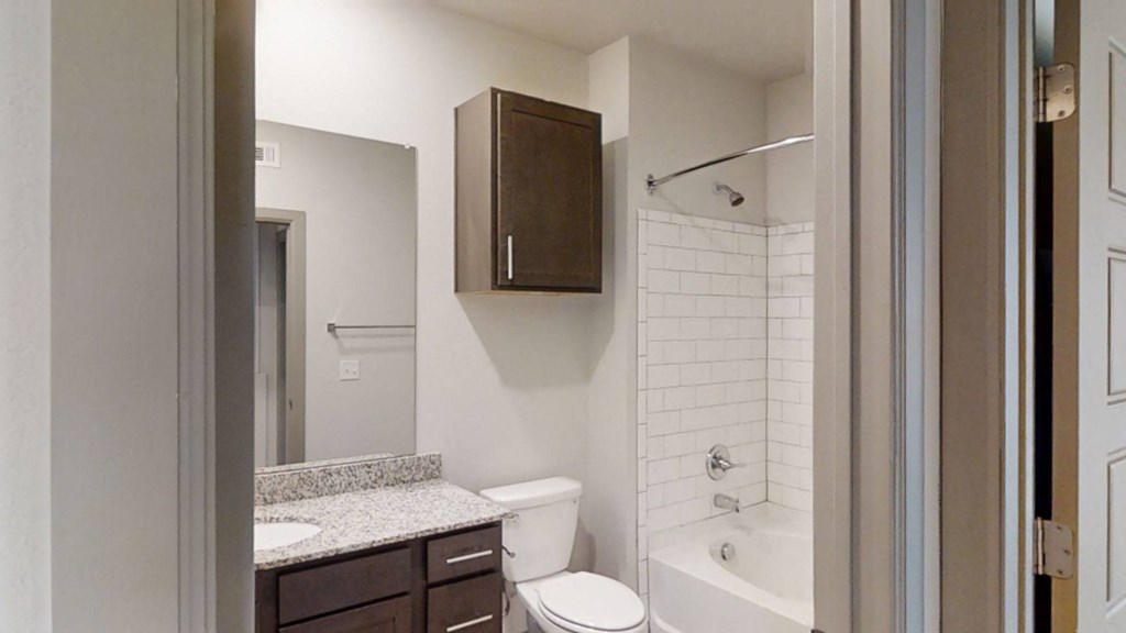 a bathroom with a shower toilet and sink and a mirror