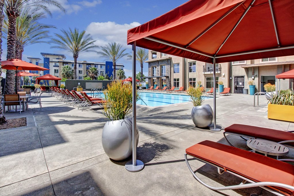 Outdoor pool area here at Artisan at Main Street Metro Apartments with red lounge chairs and umbrellas, surrounded by palm trees and modern buildings under a clear blue sky. Relaxing ambiance.