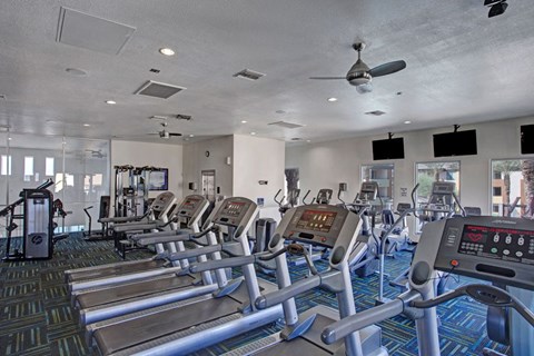 A modern gym here at Aspire at Pinnacle Peak Apartments with a row of treadmills and elliptical machines on a patterned carpet. Large windows and wall-mounted TVs create an open, bright atmosphere.