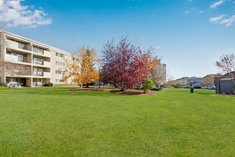 A spacious outdoor courtyard here at Cedar Gardens with wide open green space and mature trees, featuring colorful landscaping, a peaceful lawn area for relaxing or playing, and clear views of the surrounding community buildings under a bright blue sky.