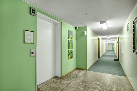 A bright hallway here at Edgewood Estates featuring cheerful green accent walls, a clean elevator entry, and a long carpeted corridor, plus simple wall art and overhead lighting for an easy, comfortable walk home.