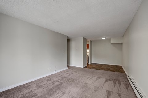 A room with a carpeted floor and a doorway leading to another room.