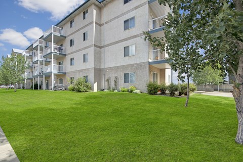 A landscaped apartment building exterior here at Madison Park featuring a multi-story beige building with private balconies and large windows. A wide green lawn stretches across the foreground, bordered by mature trees, shrubs, and garden beds, creating an open, park-like setting under a bright blue sky.
