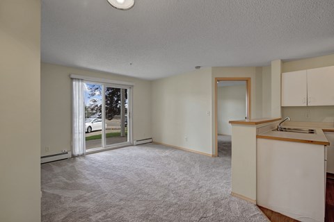 A kitchen area with a sink and a window.