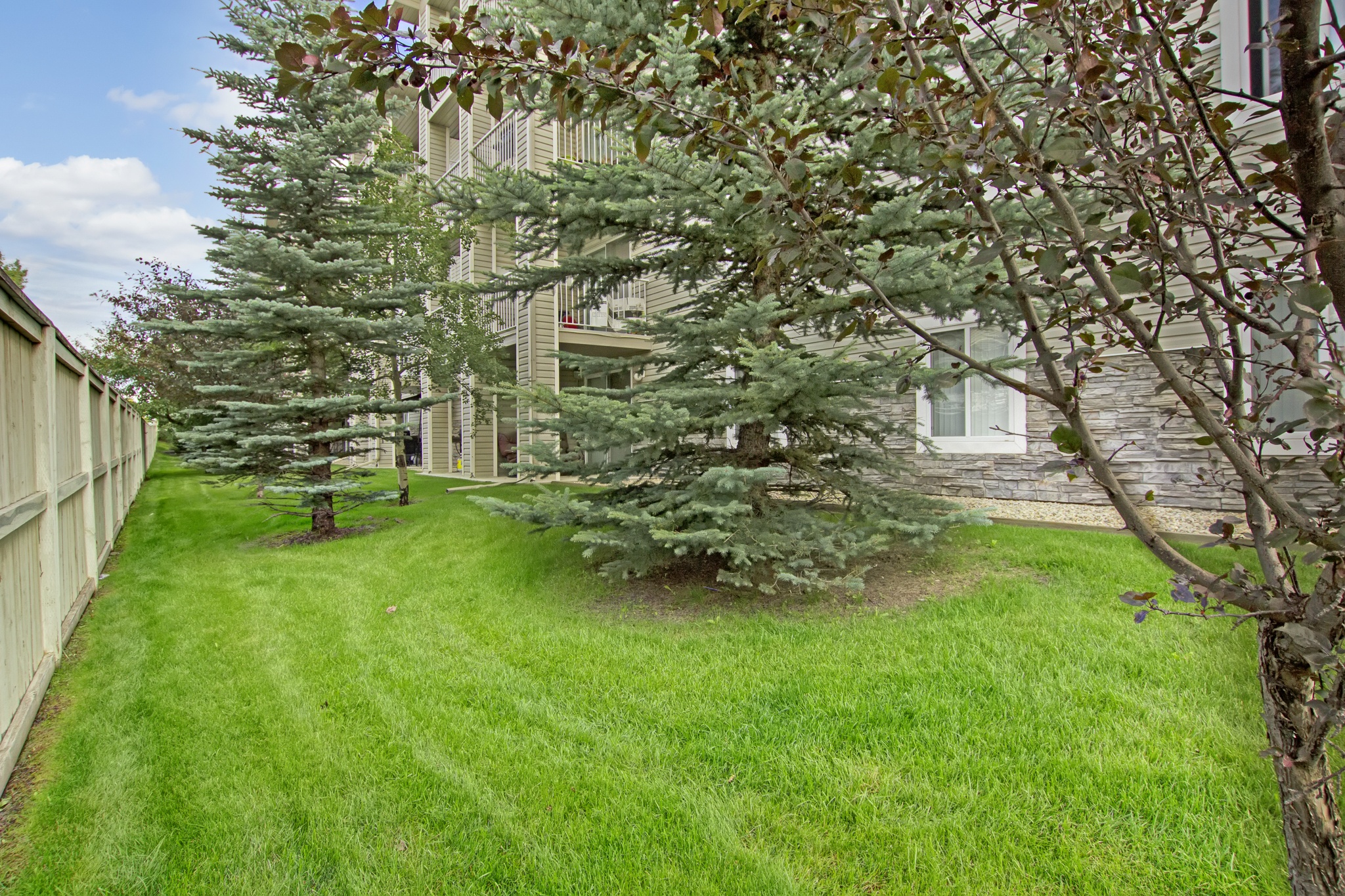 2 bedroom apartment - The Pointe at Applewood, Calgary - unit WAIT21 5
