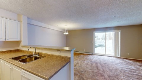 A kitchen with a sink and a window.