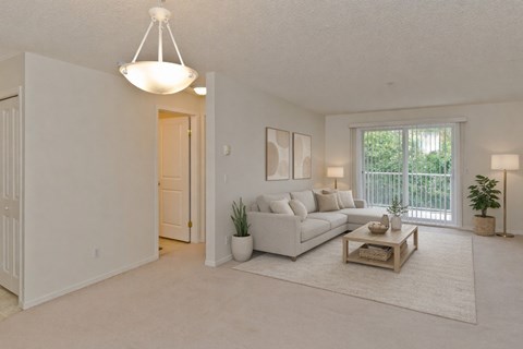 A living room with a white couch, a coffee table, and a potted plant.