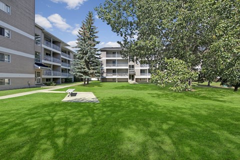 A spacious landscaped courtyard here at Stirling Place featuring lush green lawns, mature trees providing natural shade, a concrete picnic table area, and surrounding apartment buildings with private balconies under a bright blue sky.