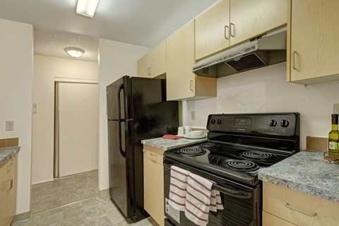 A kitchen with a black refrigerator and stove.