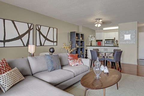A living room with a grey couch and a coffee table.