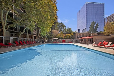 A large blue swimming pool surrounded by trees and chairs.