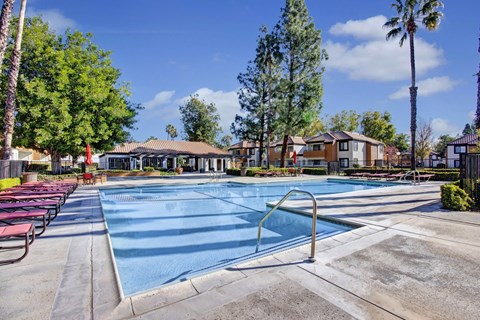 A resort-style outdoor pool here at Castlepark with clear blue water, wide pool decking, and metal handrails for easy access. Rows of lounge chairs with umbrellas line the poolside, while mature trees, landscaped greenery, and nearby apartment buildings create a relaxing, sunny community setting.