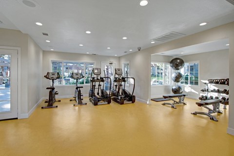 A modern fitness center here at Castlepark with open floor space, bright overhead lighting, and large windows that let in natural light. Cardio machines line one side of the room, while a weight bench, free weights, and exercise equipment are arranged neatly, creating a clean, welcoming workout environment.