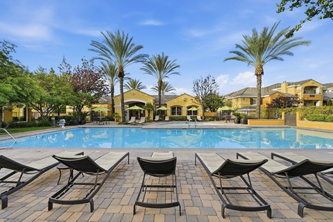 A pool surrounded by lounge chairs and palm tree with the yellow buildings of Rancho Belago Apartment Homes in the background..