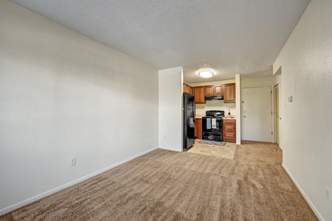 A bright, unfurnished living area here at Austin Park showcasing soft beige carpet flooring, clean white walls, and an open layout that flows into a compact kitchen with warm wood cabinetry, black appliances, vinyl flooring, and overhead lighting, creating a flexible space ideal for both living and dining furniture arrangements.