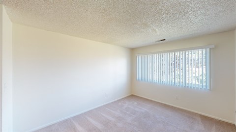 A bright, unfurnished bedroom here at Austin Park featuring neutral carpet flooring, soft beige walls, a large window with vertical blinds that allow natural light to fill the space, clean baseboards, and an open layout that offers flexibility for bedroom furniture and décor.