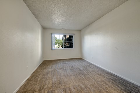 A bright, spacious bedroom here at Austin Park featuring soft neutral walls, plush carpet flooring, and a large window that brings in natural light and offers a pleasant outdoor view, creating a versatile space ideal for a comfortable bedroom setup or home office.