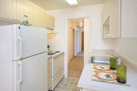 A kitchen with a white refrigerator and a sink.