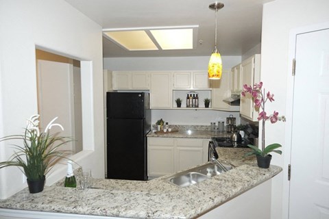 A kitchen with a black refrigerator and a marble countertop.