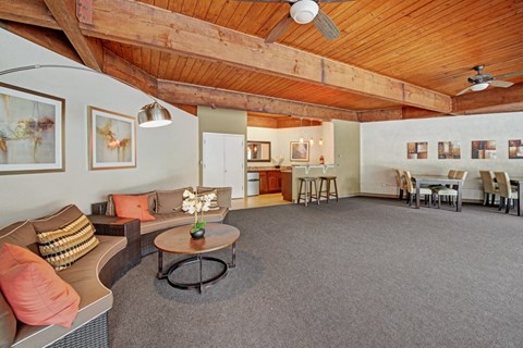 A living room with a grey carpet and wooden ceiling.