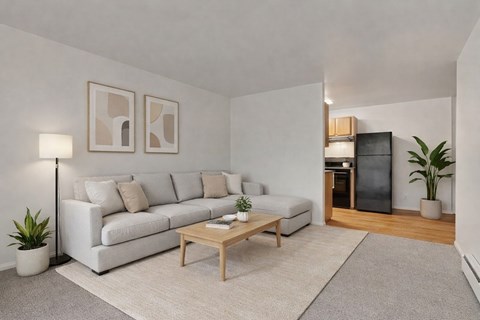 A living room with a white couch, a wooden coffee table, and a plant.