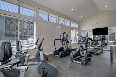 A bright modern fitness center here at Vista View featuring large floor-to-ceiling windows with white blinds, multiple cardio machines including treadmills, ellipticals, and stationary bikes, mirrored walls that reflect natural light, durable rubber flooring, and a mounted flat-screen TV creating an open and energizing workout space.