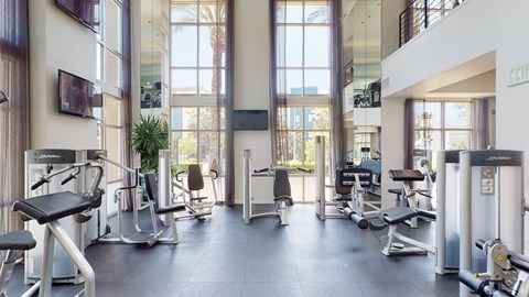 A bright fitness center here at Artisan at Main Street Metro featuring floor-to-ceiling windows that fill the space with natural light, modern cardio and strength training equipment arranged on dark flooring, mounted televisions, tall mirrors, and high ceilings that create an open, energizing workout environment.