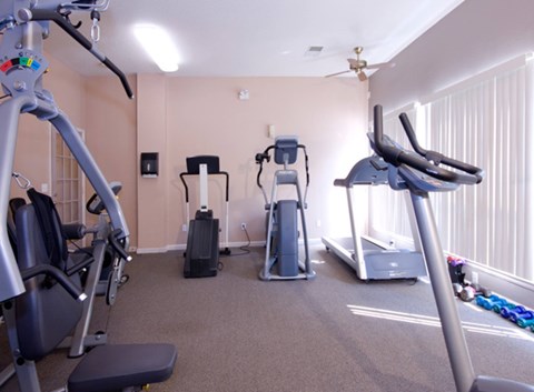A bright fitness center here at Camelback Pointe featuring cardio equipment including treadmills, an elliptical, and strength machines, with neutral carpeted flooring, large windows letting in natural light, wall-mounted mirrors, and an open layout designed for comfortable everyday workouts.