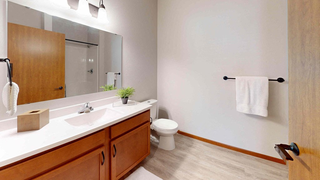 Modern bathroom here at The Club at Heritage Apartment Homes with wooden cabinets, white countertop, and large mirror. A toilet and towel on a rack are visible. Potted plant adds a fresh touch.