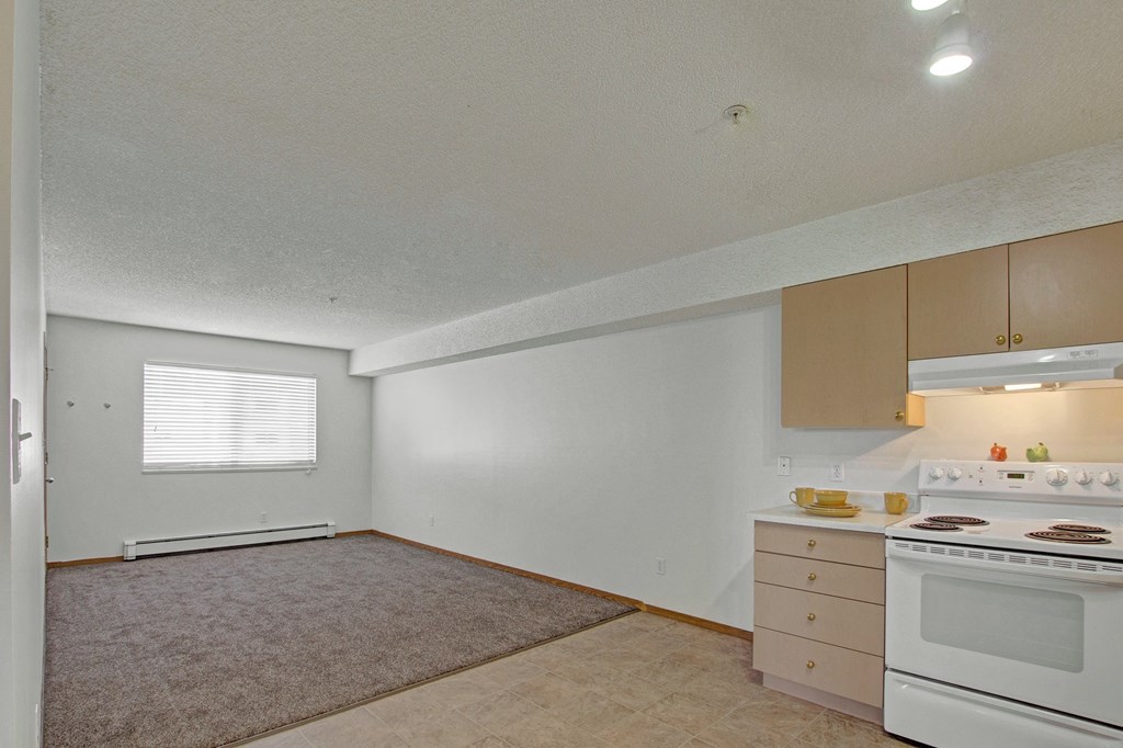An unfurnished apartment here at Aspen Terrace Apartment Homes with a small kitchen on the right, featuring light wood cabinets and a white stove. A carpeted living area in the center leads to a window with blinds on the left wall, under soft ceiling lights. The room feels clean and neutral.
