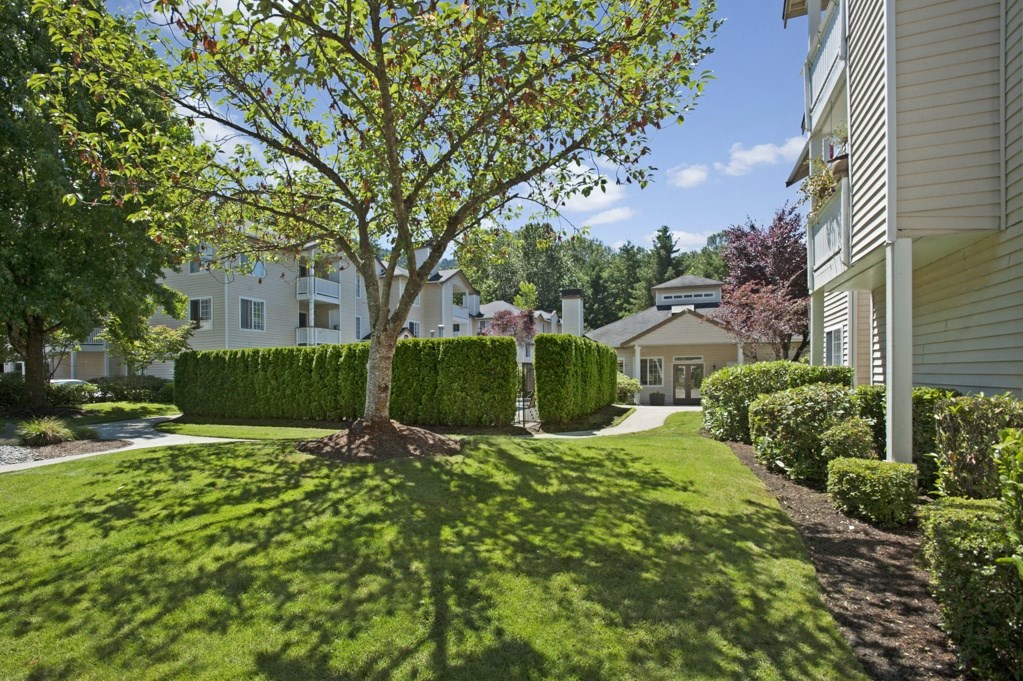 A tree in a grassy area in front of a building.