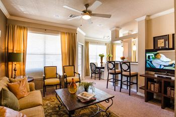 Ceiling Fans