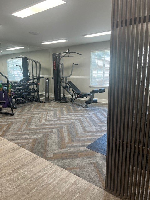 a gym with exercise equipment and a privacy wall