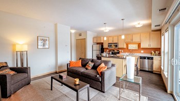 50 8th Ave S Studio-2 Beds Apartment, Minnesota for Rent - Photo Gallery 2