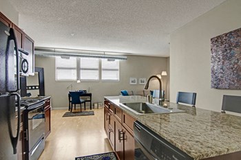 Lake Calhoun Flats Kitchen - Photo Gallery 2