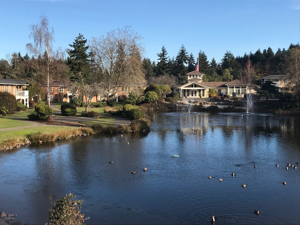 A pond with ducks swimming in front of a house with a flag on top.