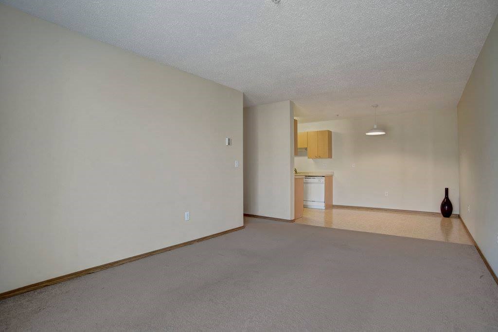 Spacious empty room here at Aspen Terrace Apartment Homes with beige walls and carpet, open to a small kitchen area with light wood cabinets. A single dark vase adds a minimalist touch.