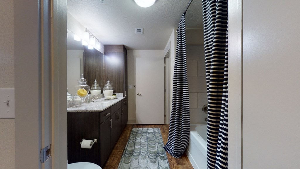 Lofts at Watters Creek bathroom