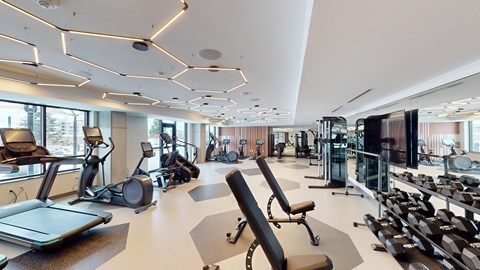 A gym with treadmills, elliptical machines, and other exercise equipment.