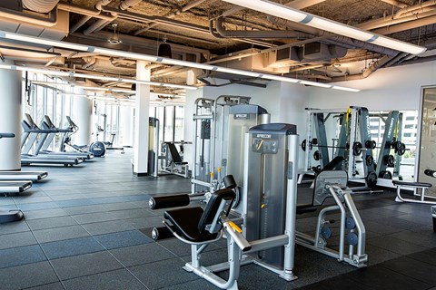 A spacious fitness center here at LPM Apartments showcasing modern cardio machines, strength training equipment, and free weights arranged across rubber flooring, with exposed ceilings, bright overhead lighting, and large windows that create an open, energizing environment for daily workouts.