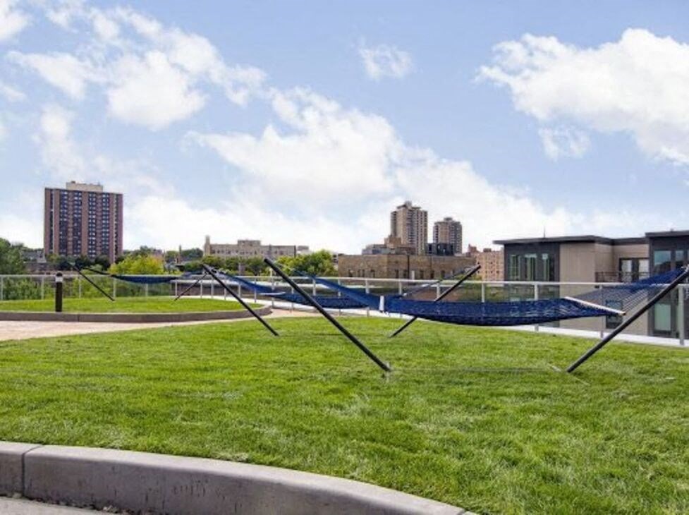 a park with a hammock in the middle of it