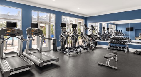 A gym with treadmills, exercise bikes, and dumbbells.