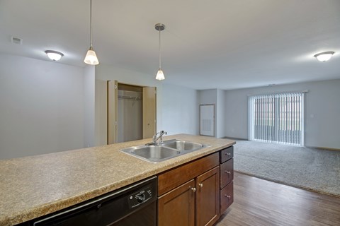 A kitchen with a sink and a dishwasher.