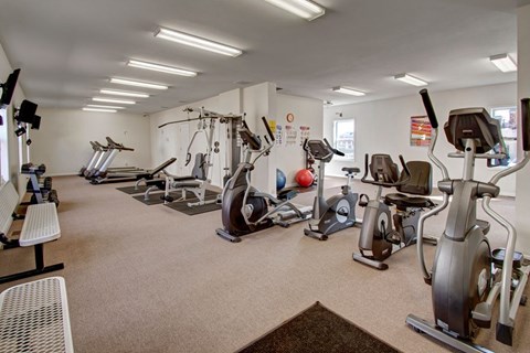 A spacious, well-lit fitness center here at Windscape Apartments featuring a variety of cardio machines, including ellipticals, stationary bikes, and treadmills, along with strength training equipment and free weights. The open layout, neutral flooring, wall mirrors, and bright overhead lighting create an inviting space for residents to work out comfortably.