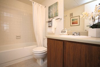 Northridge Court Bathroom - Photo Gallery 3